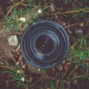 photography website tips